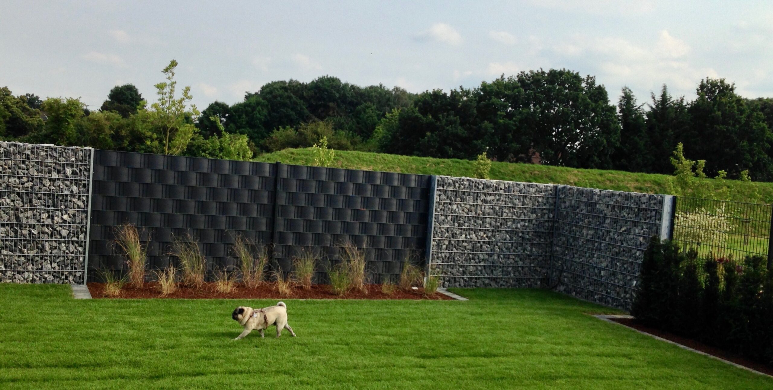 Gabionenzaun mit Blick in den Garten. Im Vordergrund ist ein kleiner Hund zu sehen.